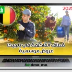 Cueilleur de Fruits - visa belgique maroc