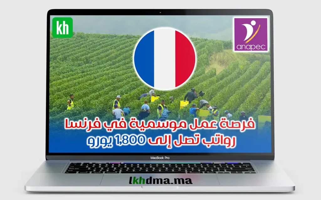 فرصة عمل موسمية في فرنسا – رواتب تصل إلى 1,800 يورو