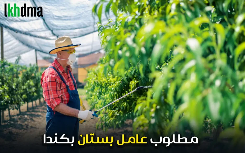 عامل بكندا - أُجير زراعي في بستان كولومبيا البريطانية