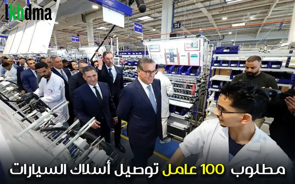 100 عامل توصيل أسلاك السيارات CÂBLAGE automobile