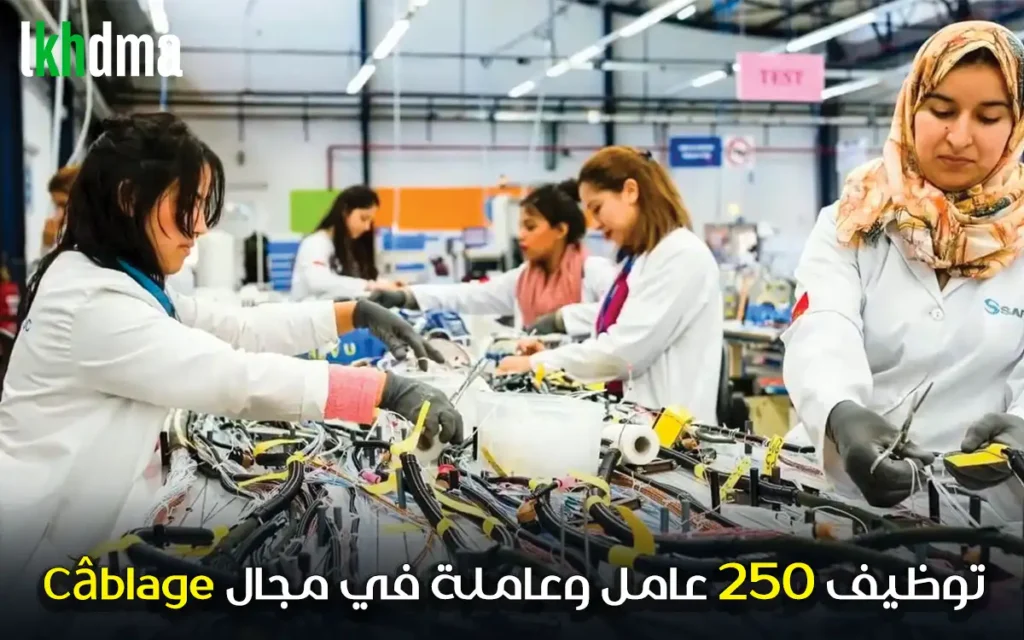 Câblage توظيف 250 عامل وعاملة في مجال