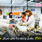 Câblage توظيف 250 عامل وعاملة في مجال
