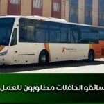 سائقو الحافلات مطلوبون للعمل